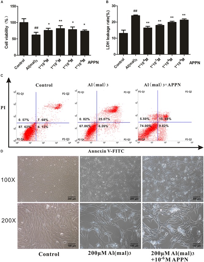 FIGURE 12