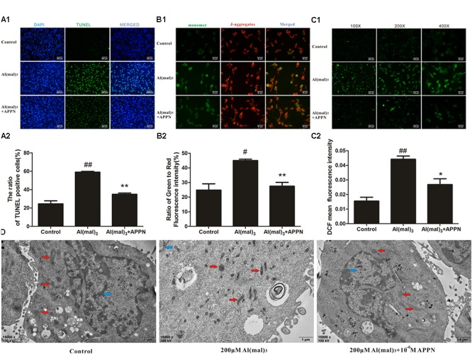 FIGURE 13