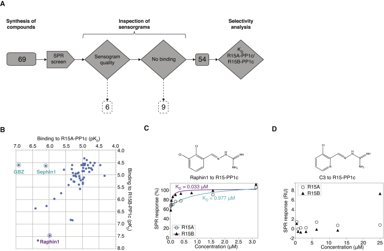 Figure 2