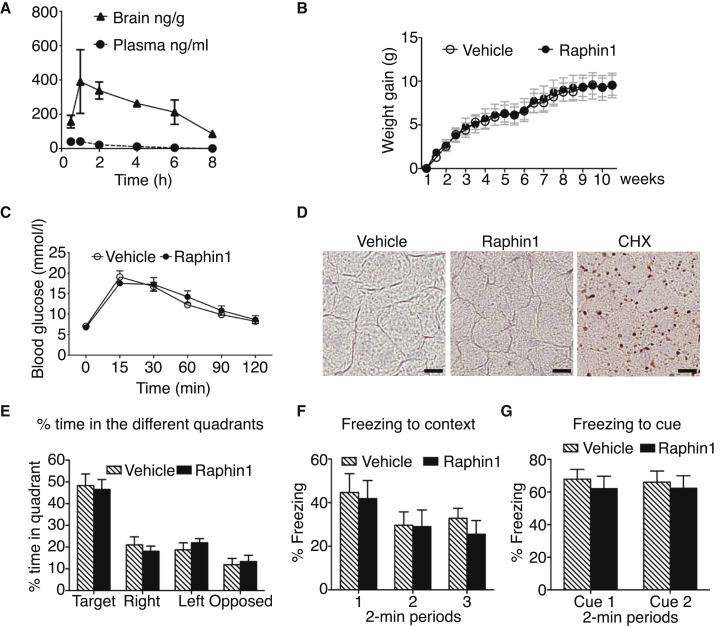 Figure 6