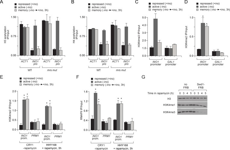 Figure 2—figure supplement 1.