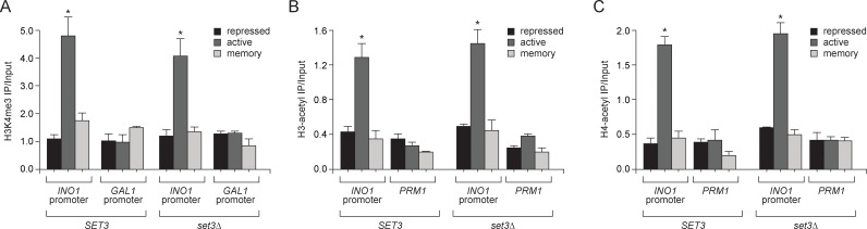 Figure 4—figure supplement 1.