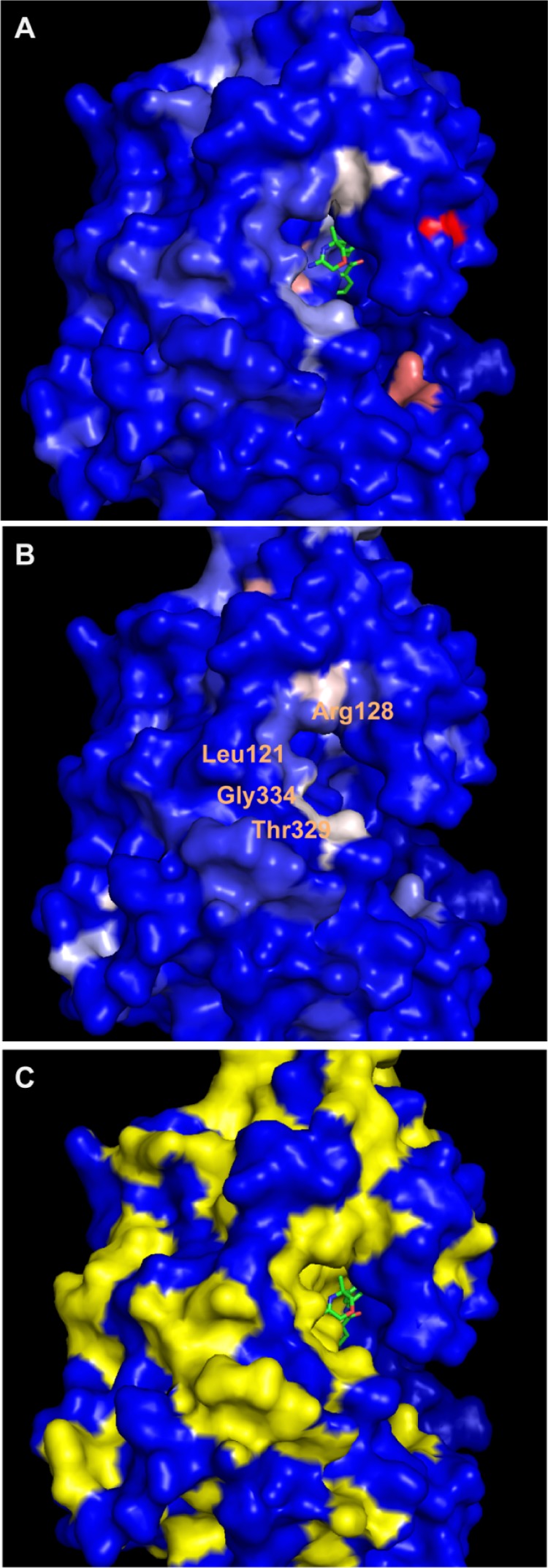 Figure 6