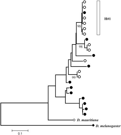 Figure 7.—