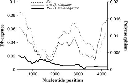 Figure 4.—