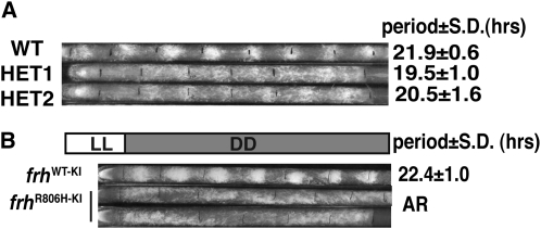 Figure 4.—