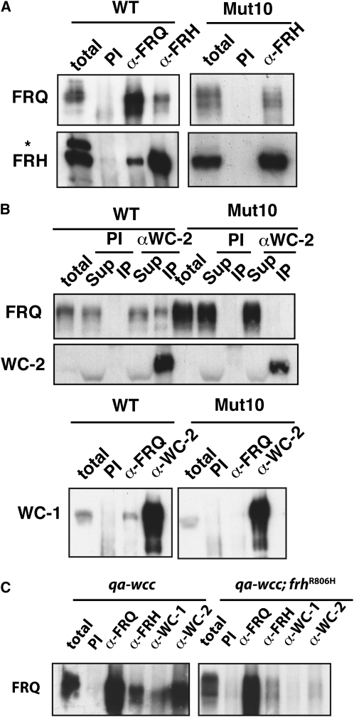 Figure 7.—