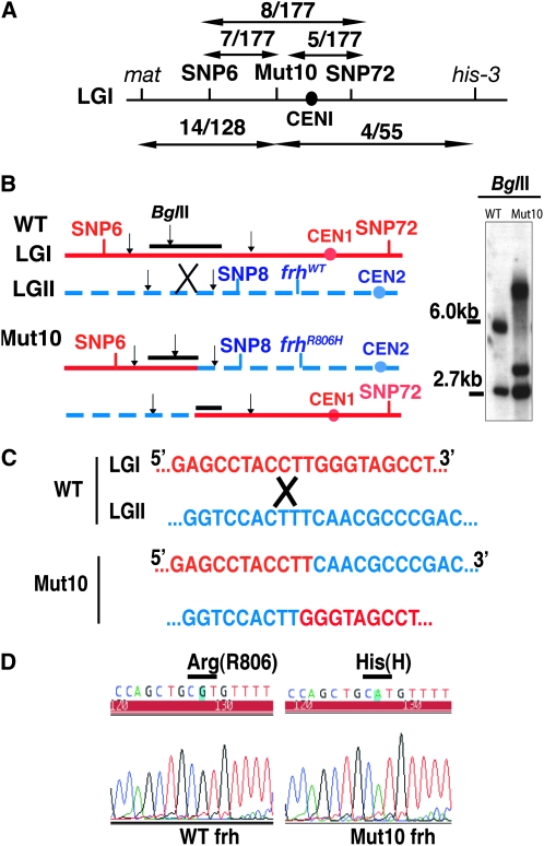 Figure 3.—