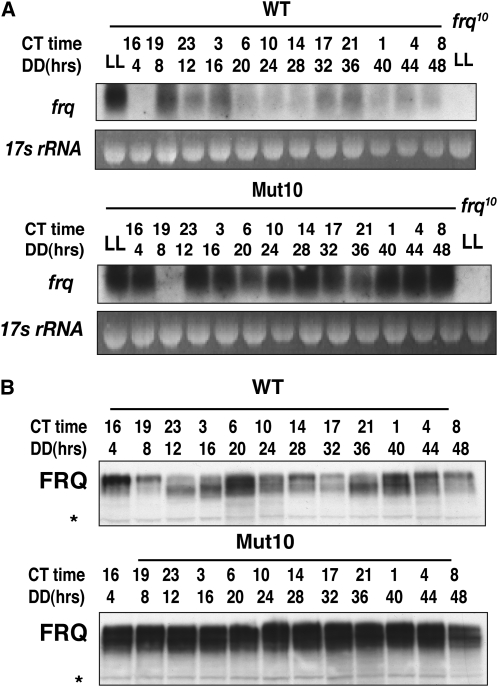 Figure 2.—