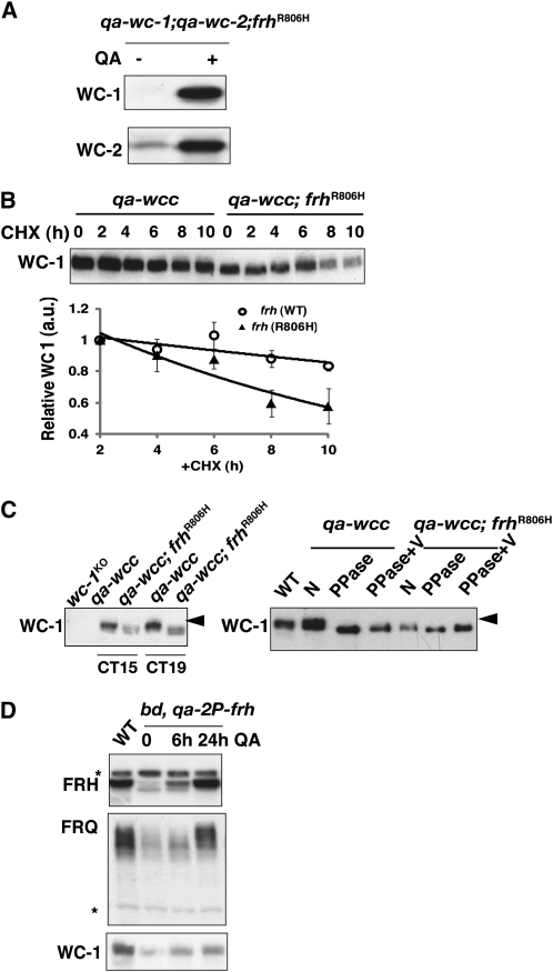 Figure 6.—