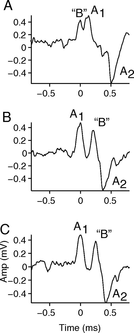 Figure 6.