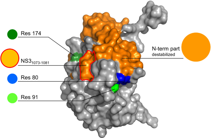 Figure 7