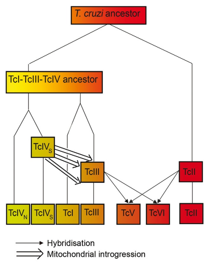 Fig. 8: