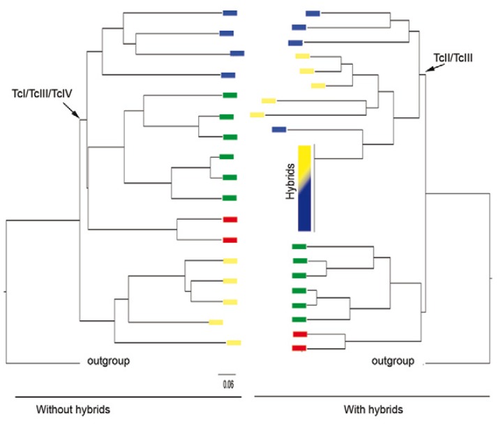 Fig. 2: