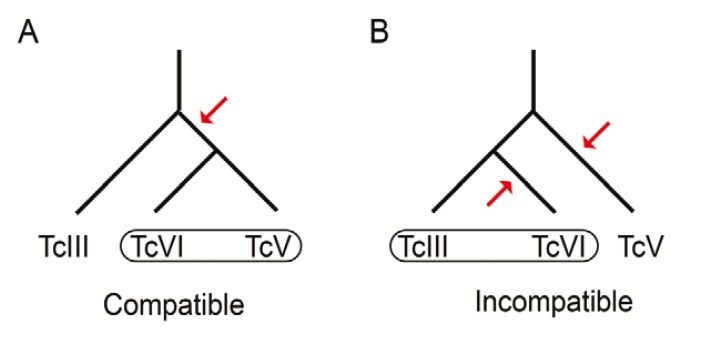 Fig. 6: