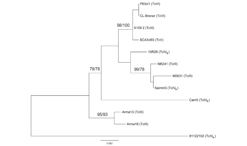 Fig. 5: