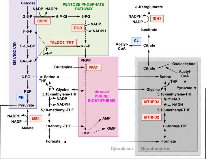 Fig. 2