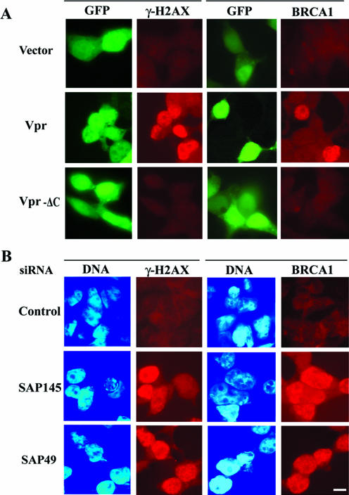 FIG.4.