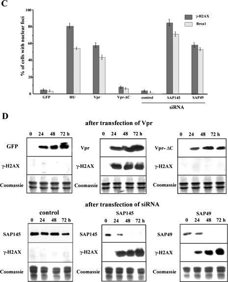 FIG.4.