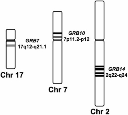 Fig. (2)