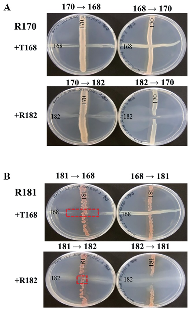 Fig. 7