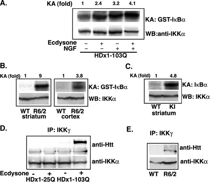  Figure 3. 