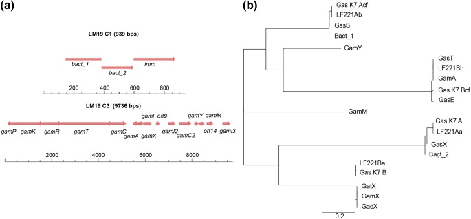 Fig.1