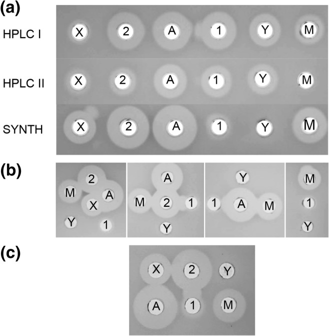 Fig.4