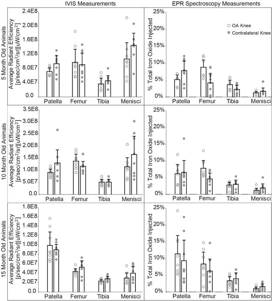 Fig. 6: