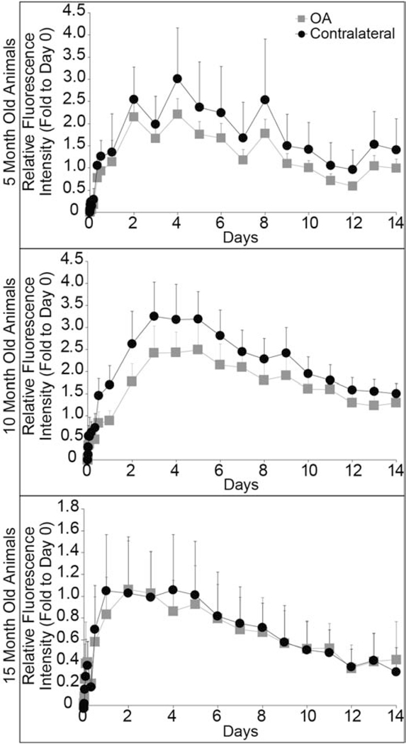 Fig. 4: