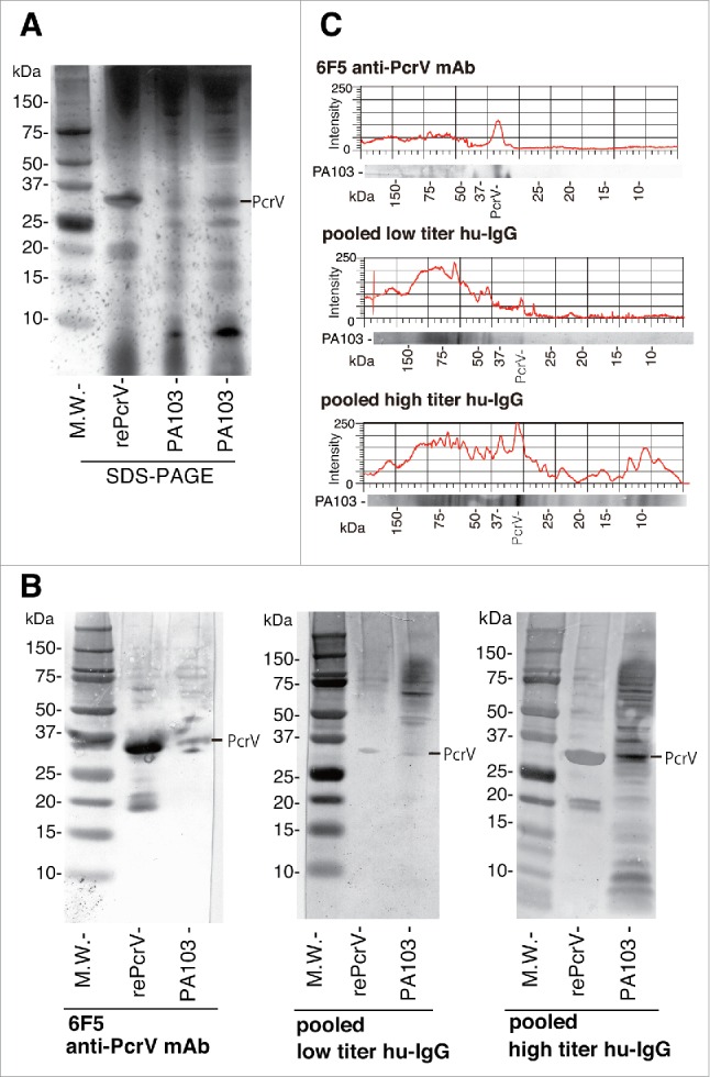 Figure 10.