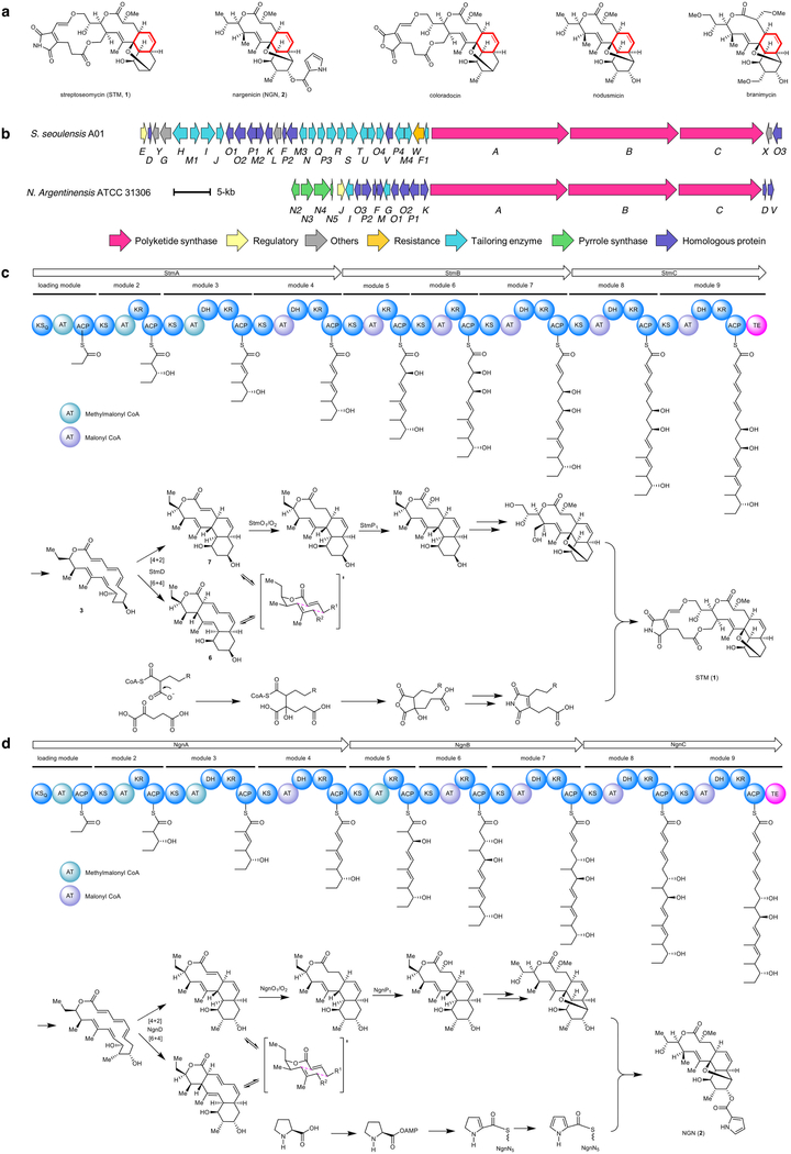 Extended Data Fig. 1 |