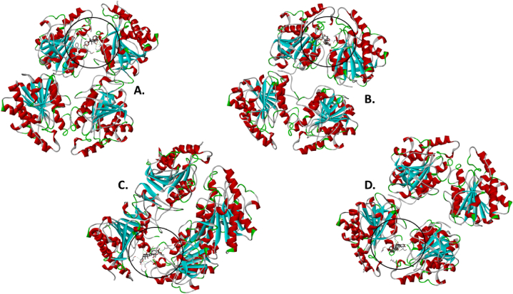 Fig. 6