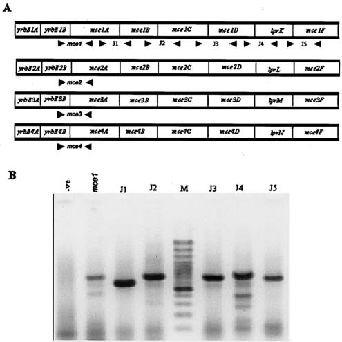 FIG. 1.