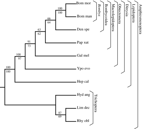 Fig. 6