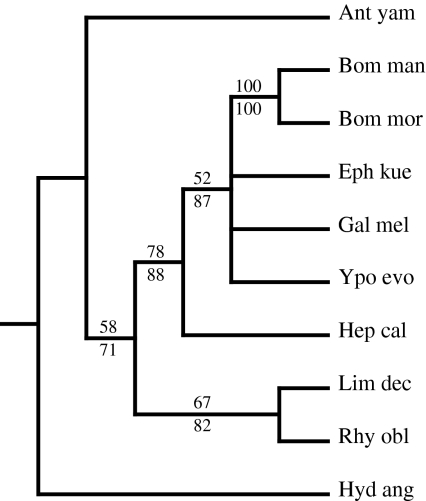 Fig. 5