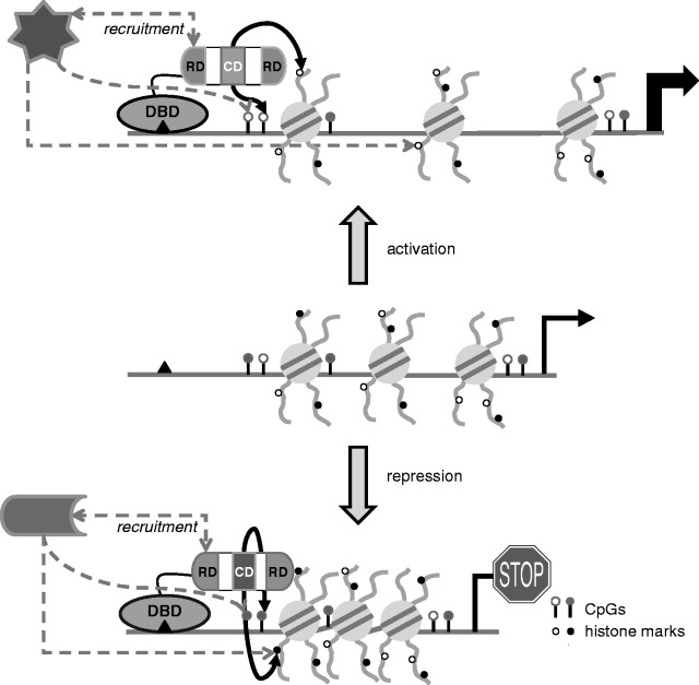 Figure 1.