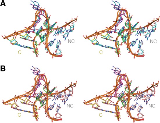 FIGURE 4.