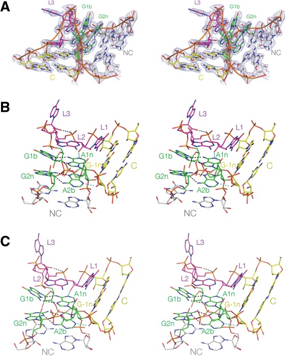 FIGURE 3.