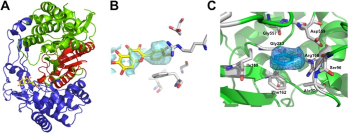 Figure 5.