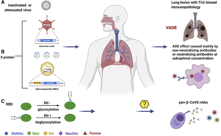 Figure 2