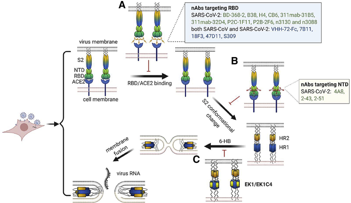 Figure 3