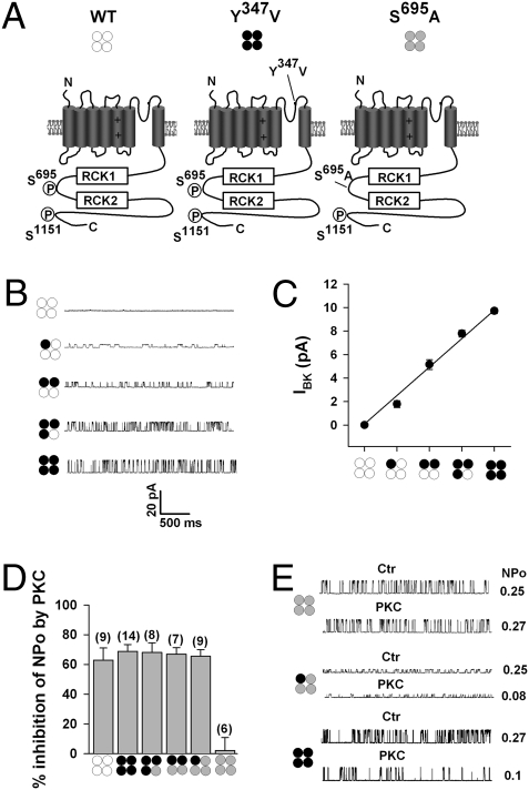 Fig. 3.