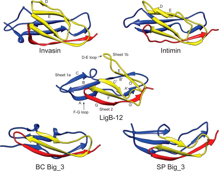 Figure 7