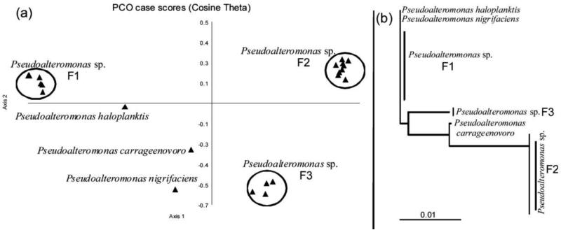 Fig. 9