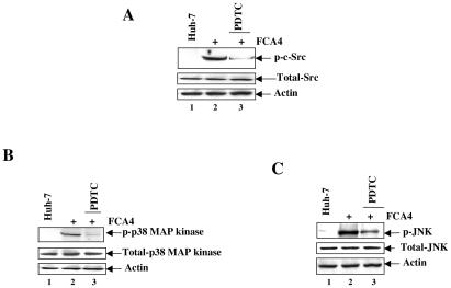 FIG. 5.