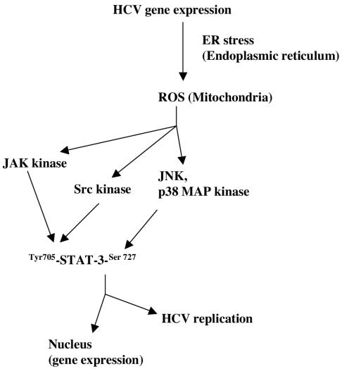 FIG. 10.