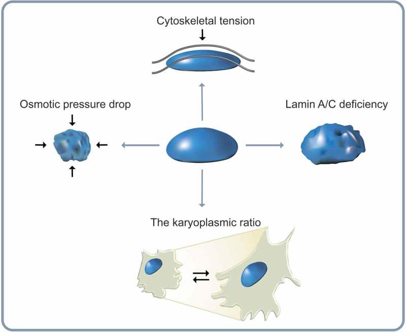 Figure 2.