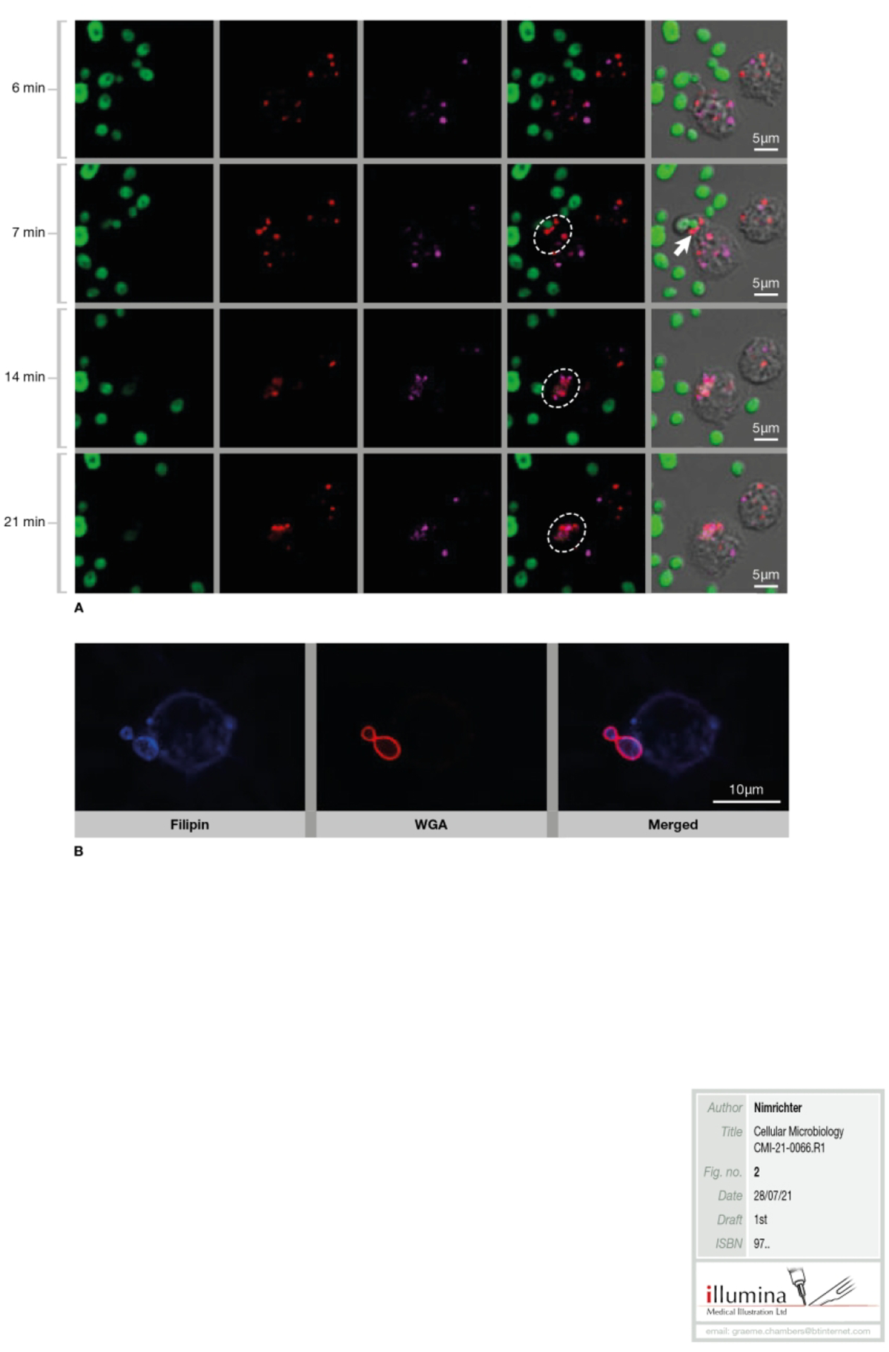 Figure 2-