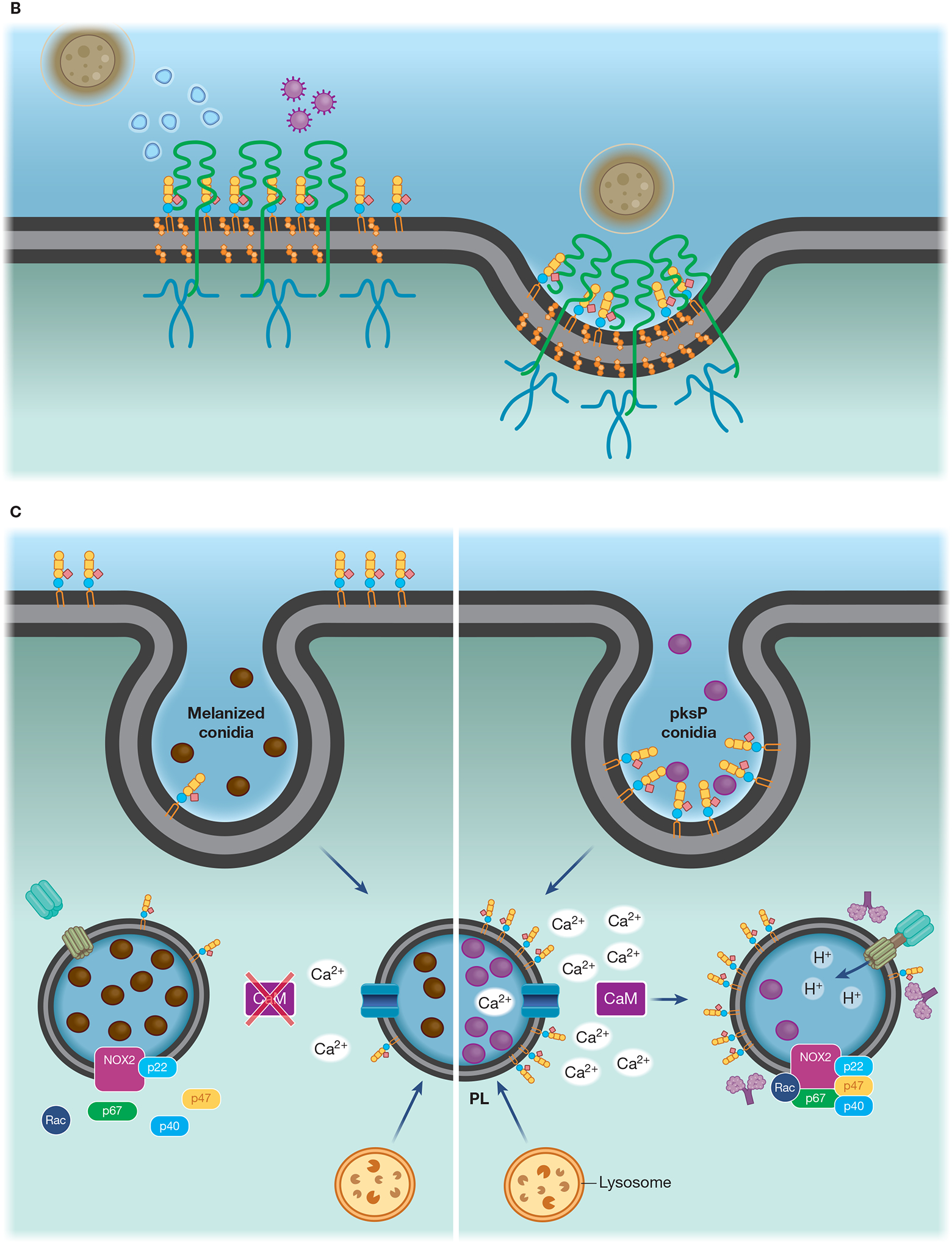 Figure 1-